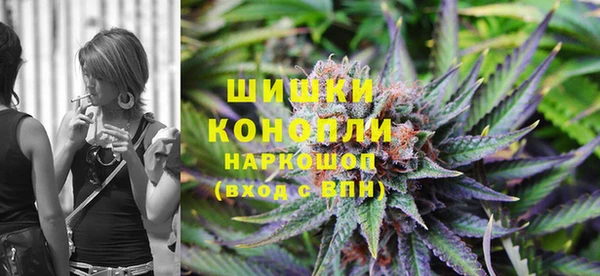 тгк Вяземский