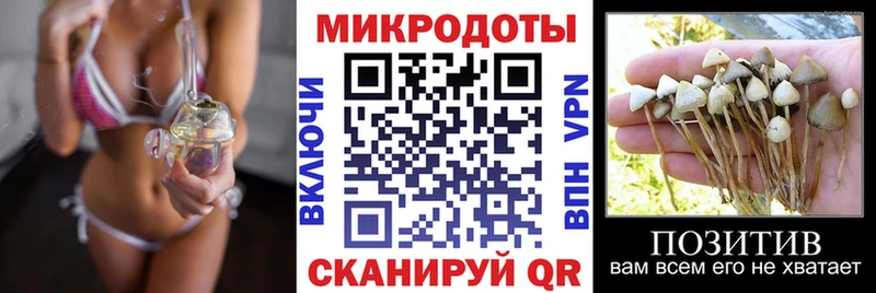 Псилоцибиновые грибы Magic Shrooms  MEGA tor  Звенигород  наркота 